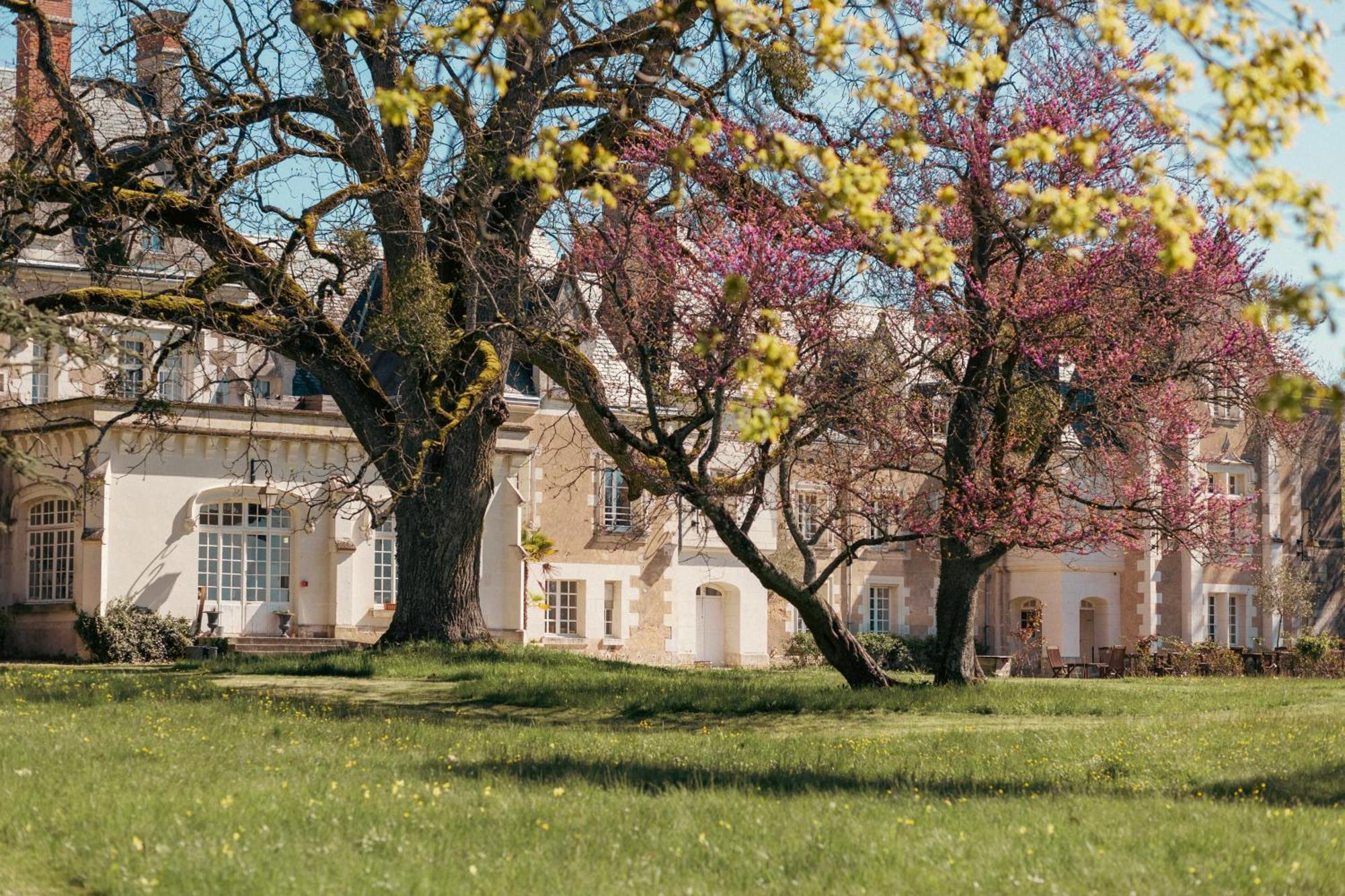 Chateau De Razay Cere-la-Ronde Luaran gambar